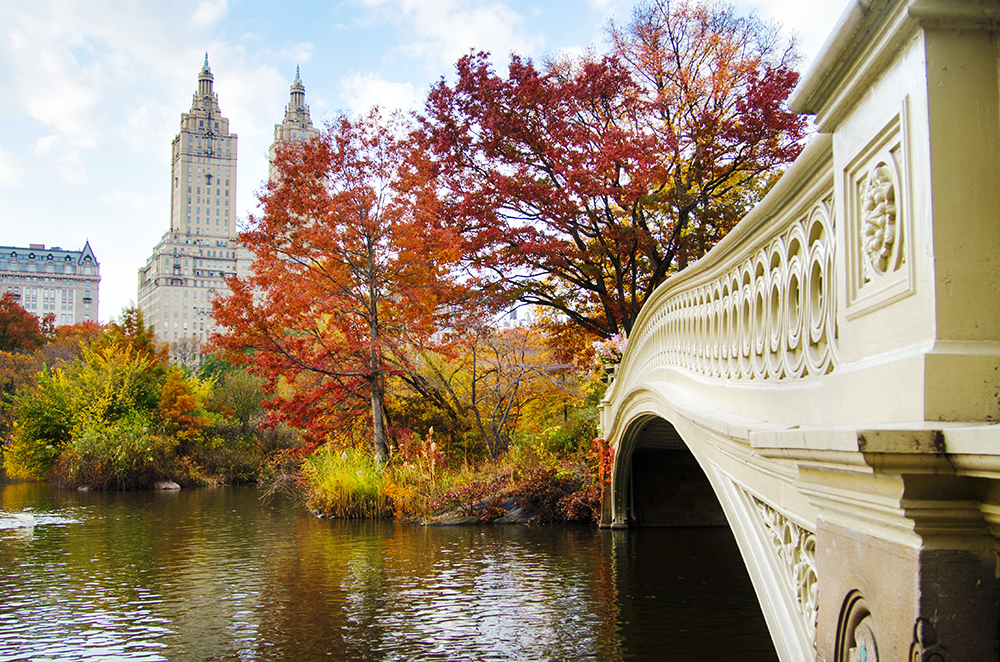 NYC October Events What s On This Month In New YorkRefinery Times